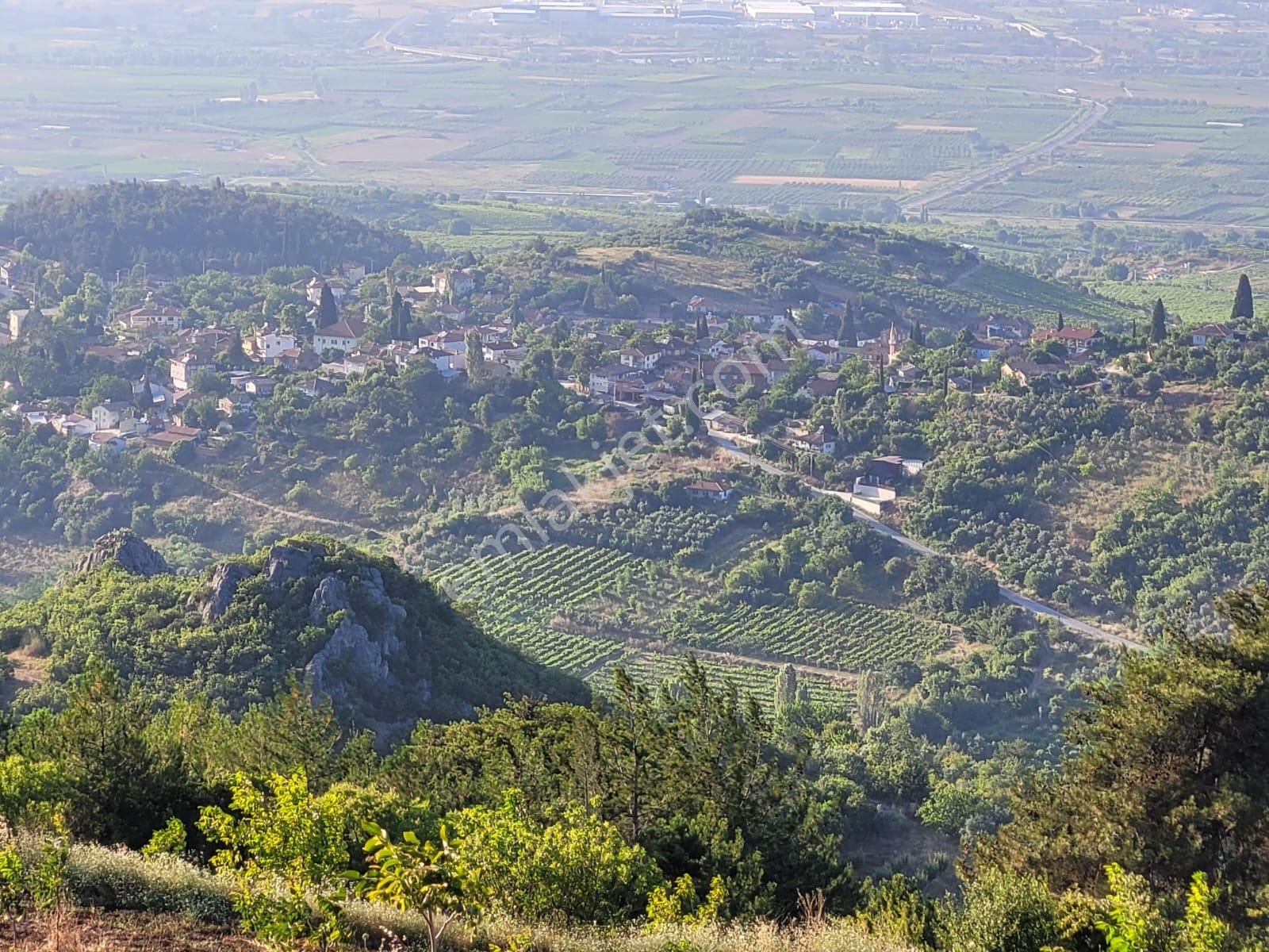 Geyve Ceceler Satılık Tarla Remax Mavi'den Geyve Ceceler'de Köyiçine Yakın 8030 M² Tarla