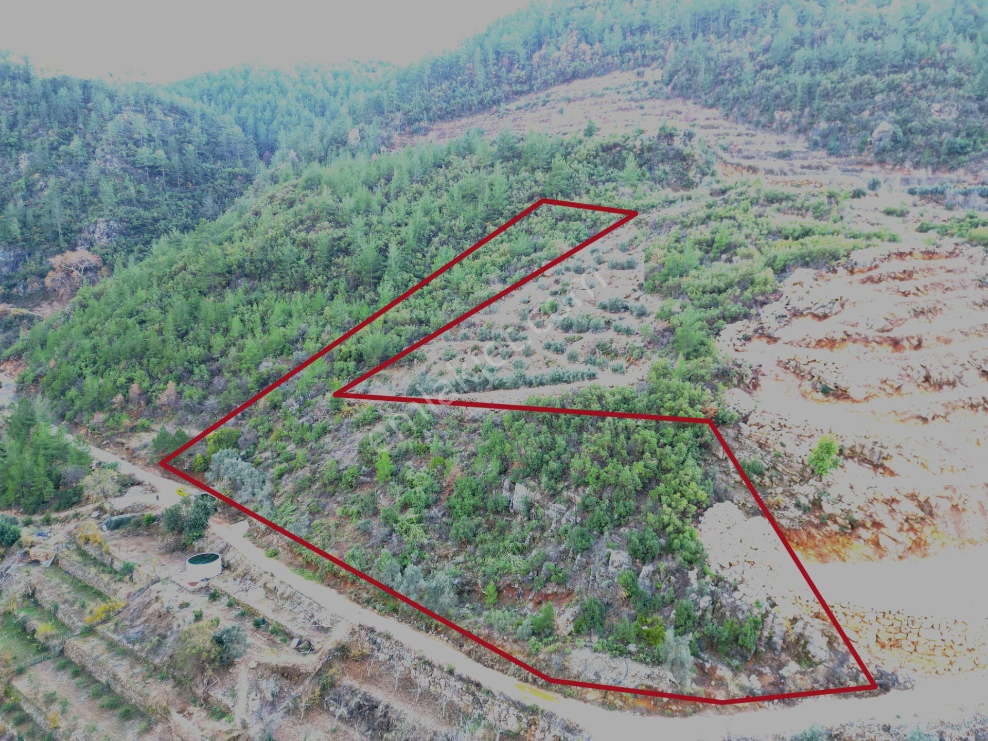 Alanya Süleymanlar Satılık Tarla Alanya Süleymanlar Köyünde Satılık 4250 M2 Yatırımlık Tarla