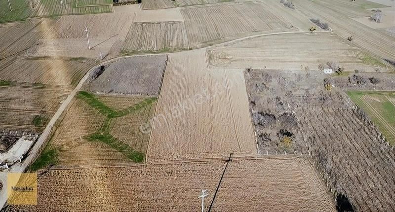 Kırklareli Merkez İstasyon Satılık Tarla Mayadan Gayrimenkul'den 4640m2 Satılık Arazi