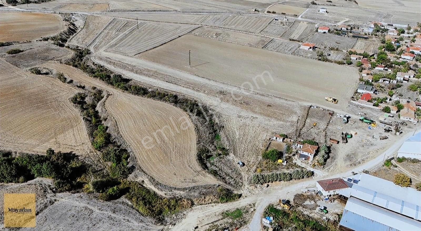 Kırklareli Merkez Koyunbaba Köyü Satılık Tarla Mayadan Kırklareli Koyunbaba Köyünde Satılık Tarla