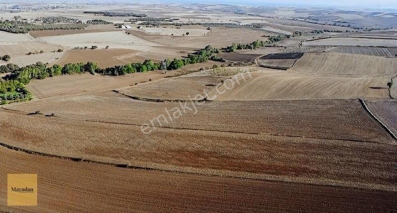 Bandırma Bezirci Satılık Tarla Mayadan Gayrimenkul'den Bandırma'da 41822 M2 Satılık Tarla