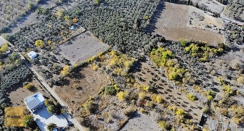 Bandırma Edincik Satılık Bağ & Bahçe Edincikte Sarı Alanda Yatırmlık Tarla