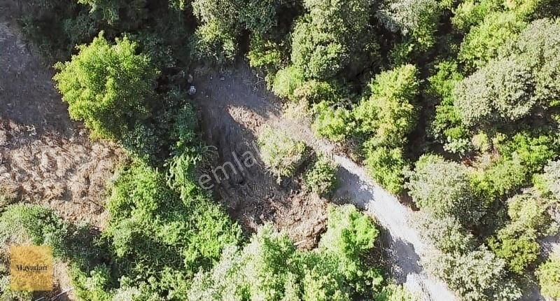 Gönen Kurtuluş Satılık Bağ & Bahçe Mayadan Gayrimenkul'den Gönen Ortaobada Araç Takasına Açık Bahçe