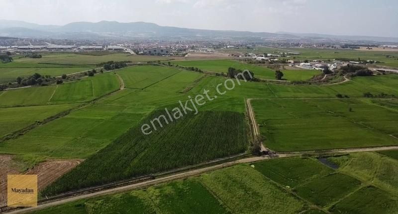 Gönen Korudeğirmen Satılık Tarla Mayadan Gayrimenkulden Korudegirmen'de Satılık Tarla