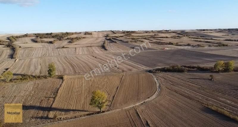 Babaeski Karamesutlu Köyü Satılık Tarla Mayadan Karamesutlu'da Yolu Olan 5.680m2 Satılık Arazi