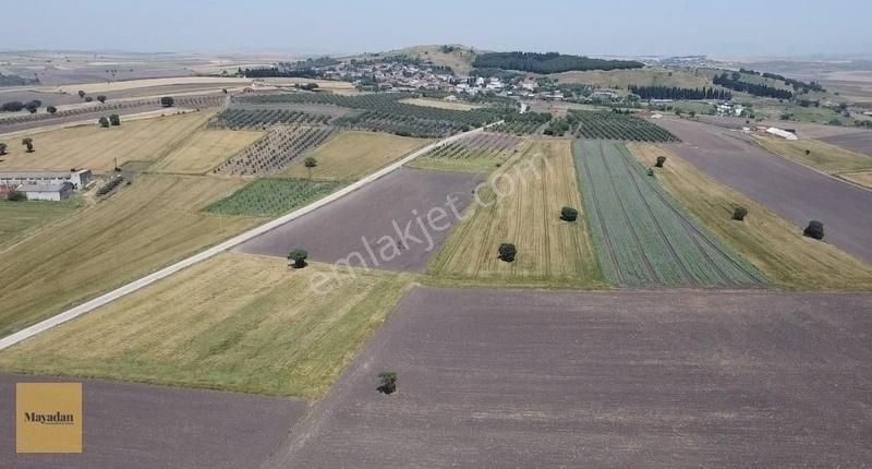 Gönen Büyüksoğuklar Satılık Tarla Balıkesir Gönen Büyüksoğuklar 'da Satılık Tarla