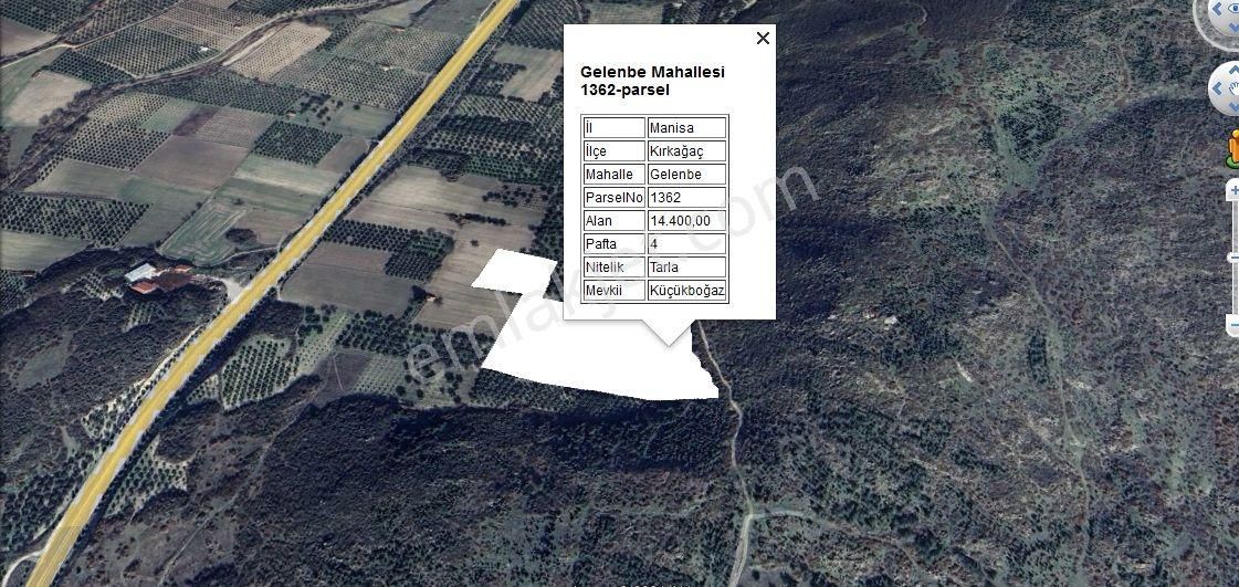 Kırkağaç Gelenbe'de Satılık 2 Parsel Zeytinlik 1 Parsel Tarla - Görsel 3