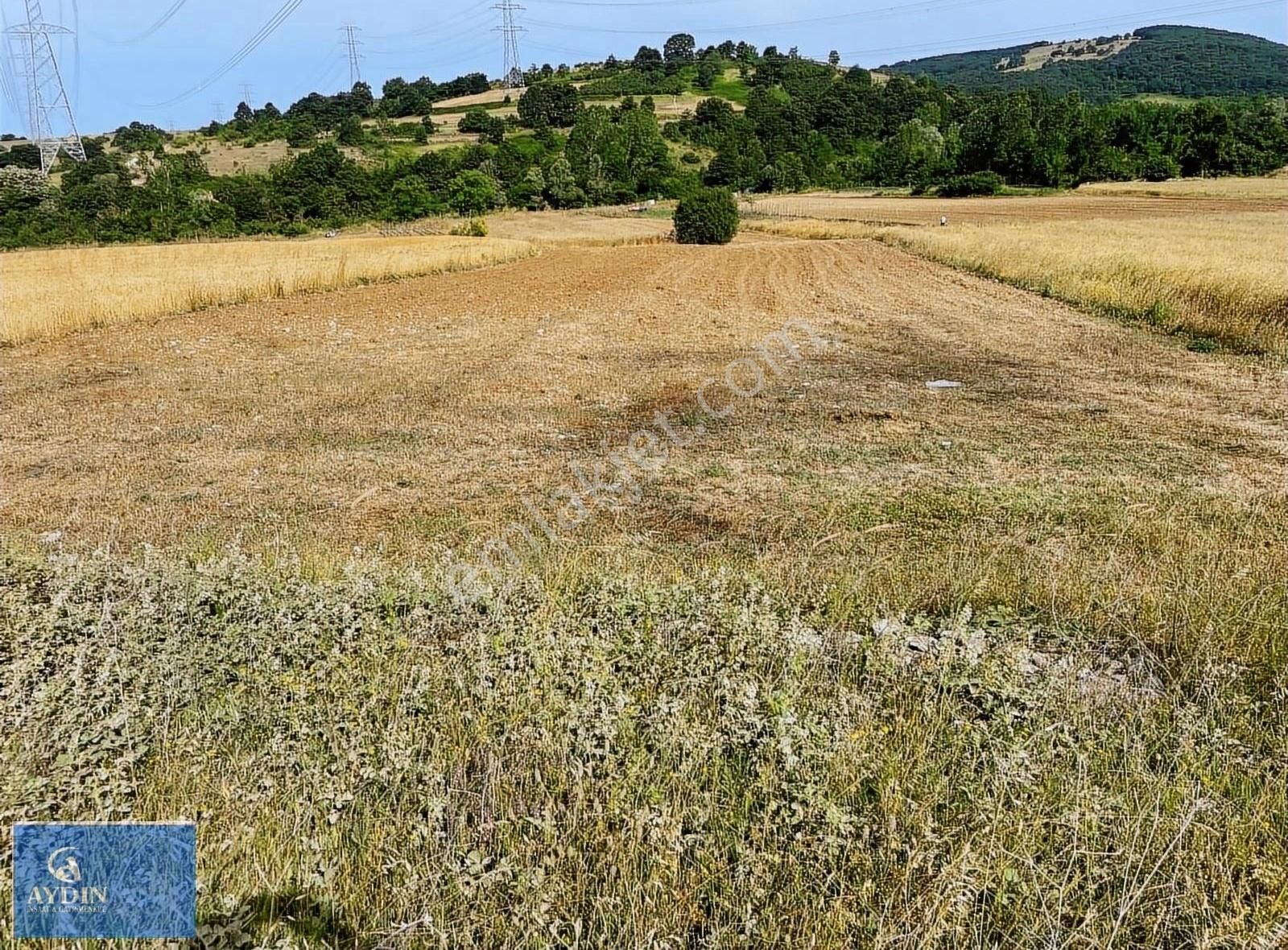 Kandıra Çalyer Satılık Tarla Kandıra Da Yola Cephe