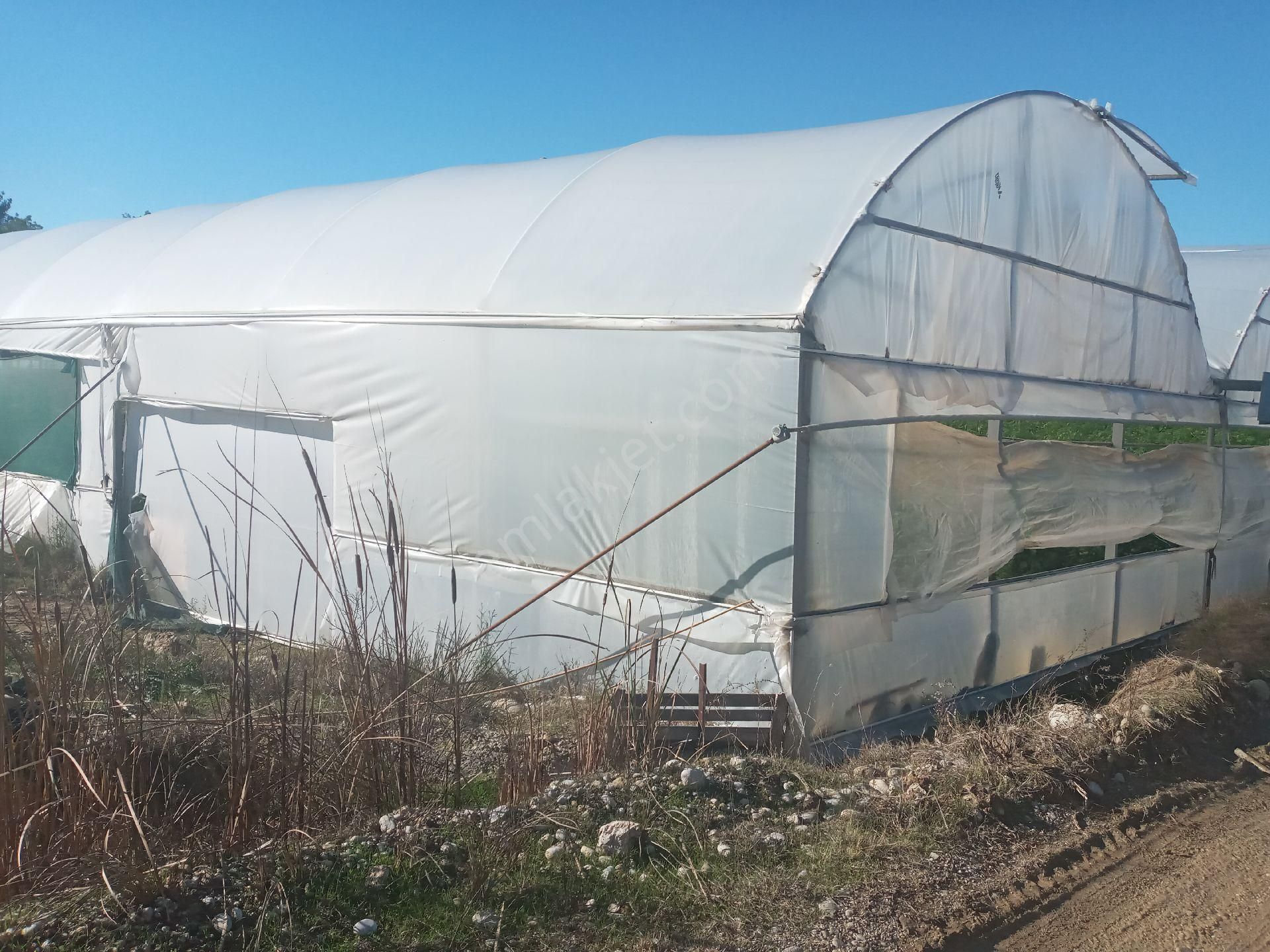 Antalya Manavgat Yavrudoğan Da Usanmaz Emlaktan Satılık Sera - Görsel 15