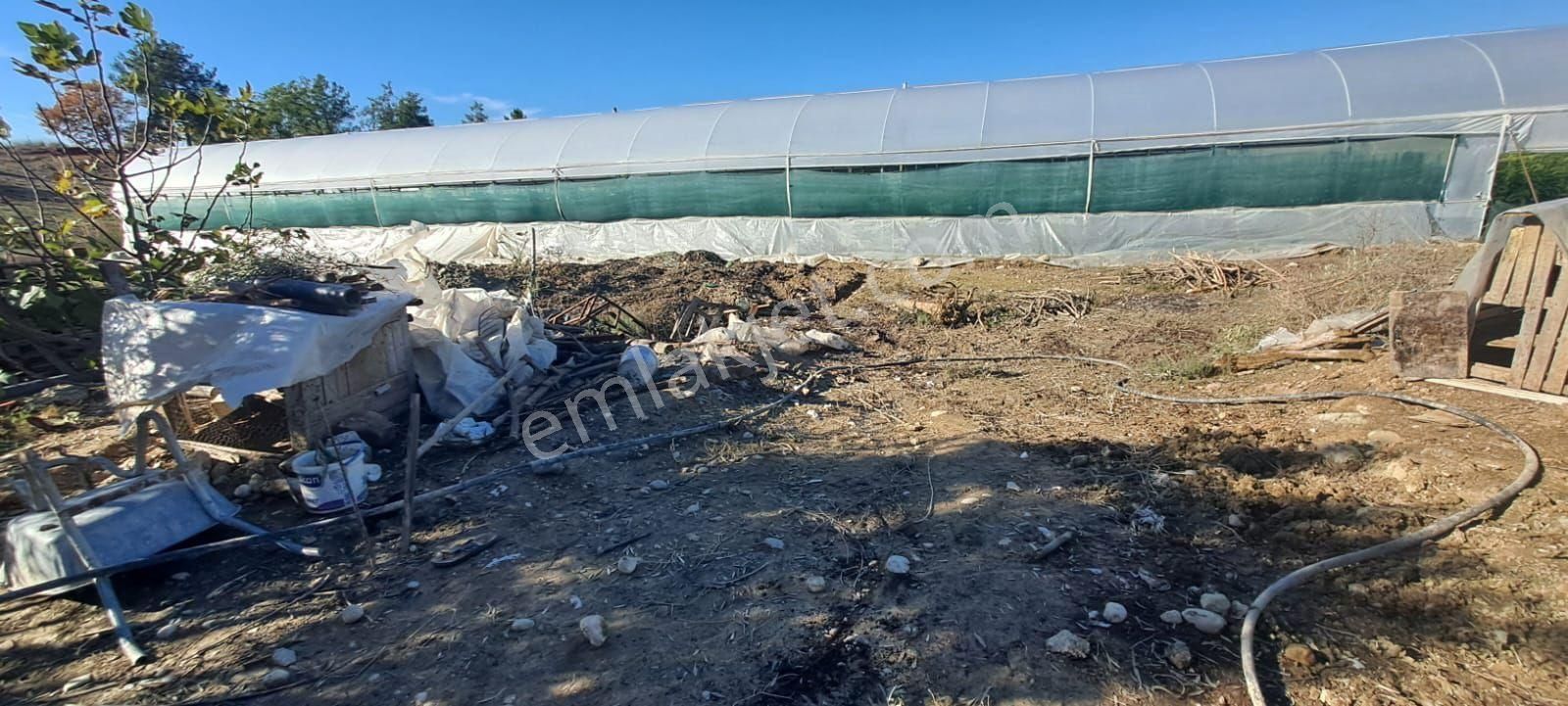 Antalya Manavgat Yavrudoğan Da Usanmaz Emlaktan Satılık Sera - Görsel 3