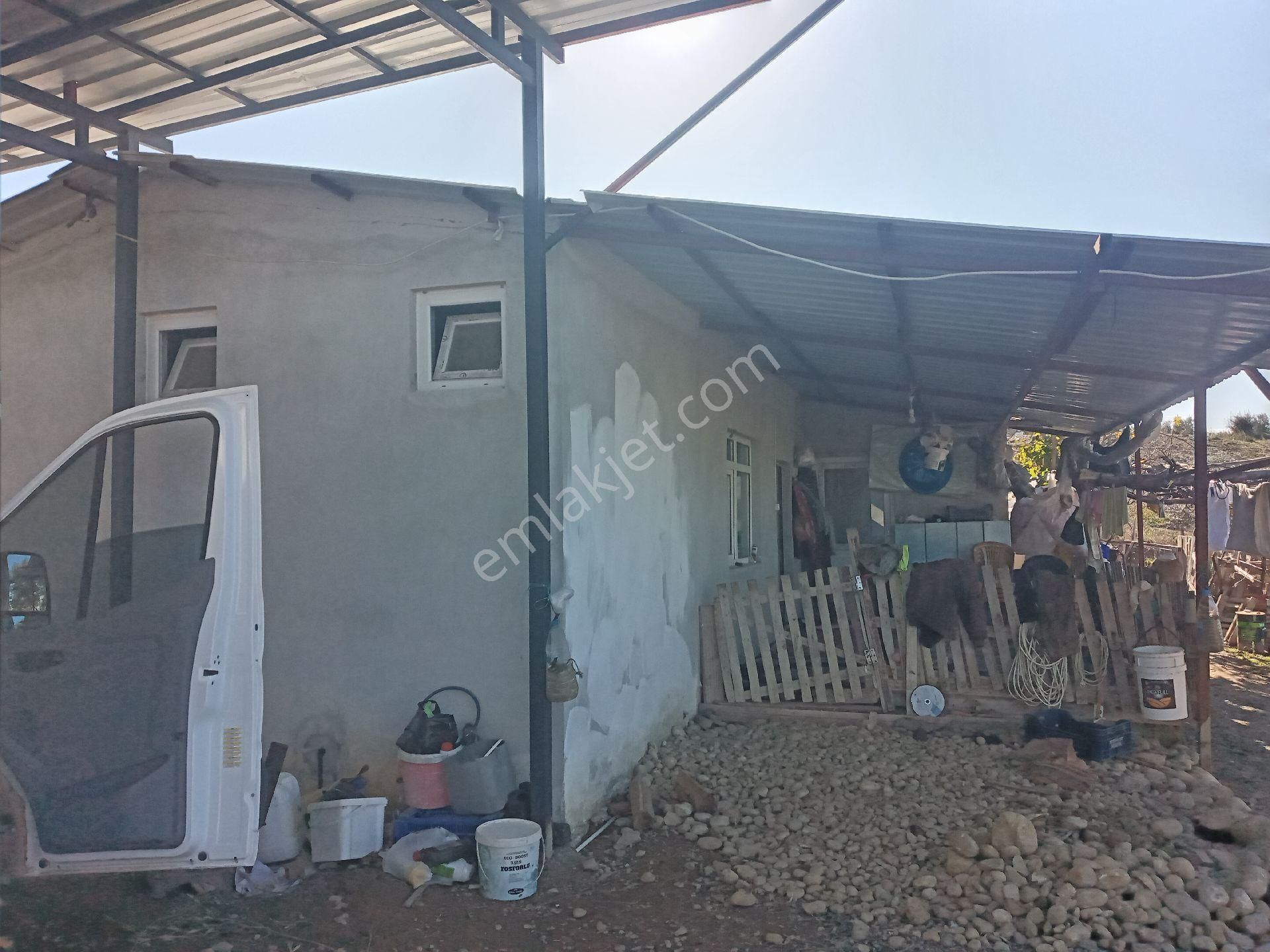 Antalya Manavgat Yavrudoğan Da Usanmaz Emlaktan Satılık Sera - Görsel 10