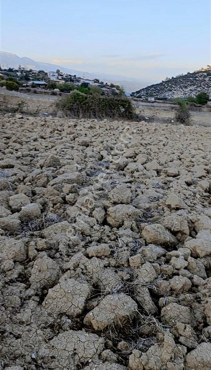 Karaisalı Aşağıbelemedik Satılık Tarla Boran Gayrimenkul,'den Karaisalı Bölgesi 2600 M2 Tek Tapu