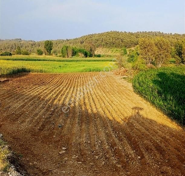 Karaisalı Hacılı Satılık Tarla Boran Gayrimenkul, Den Karaisalı'da 2400 M2 Tek Tapu