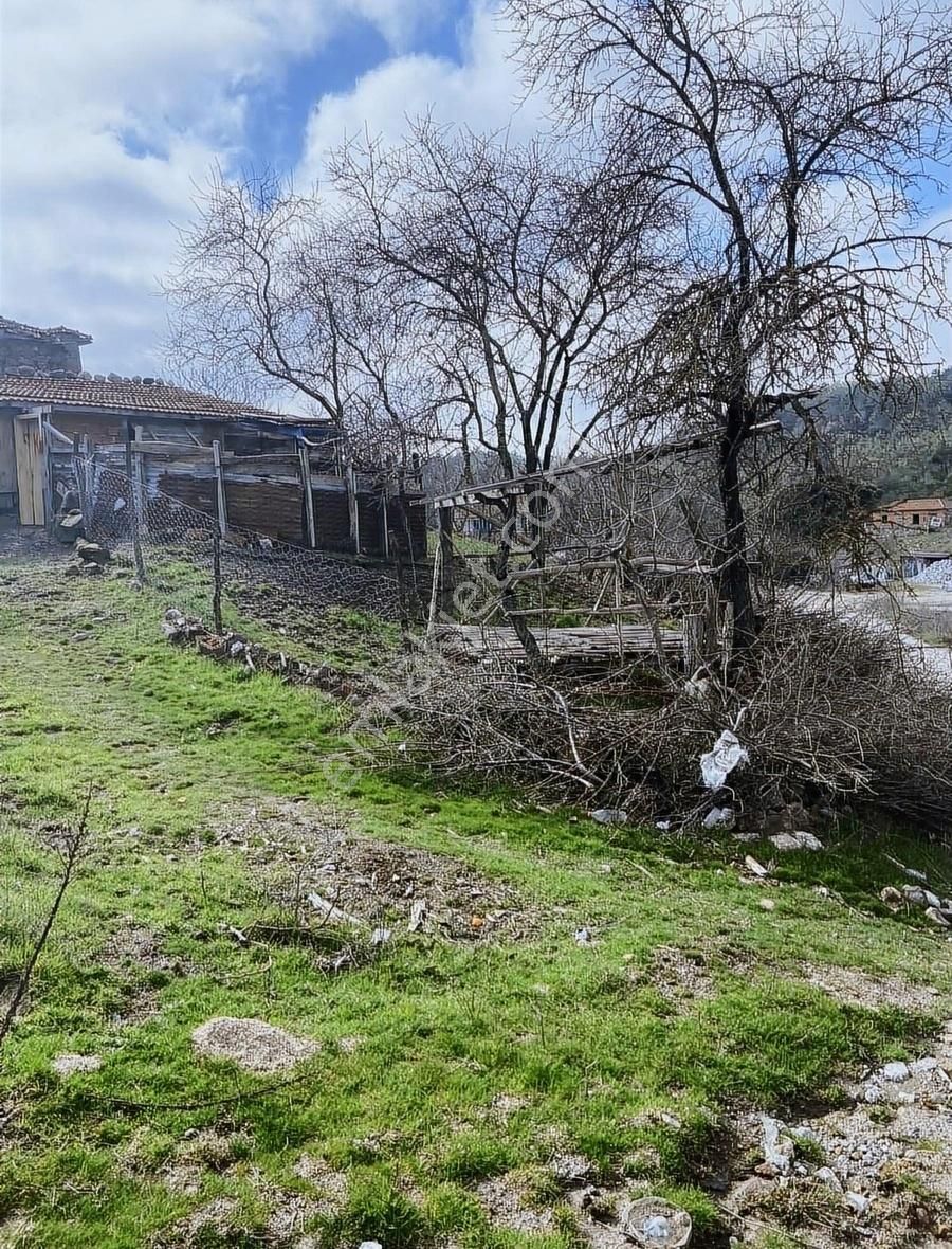 Savaştepe Kongurca Satılık Bağ & Bahçe Köy İçi Satılık Bahçe !!