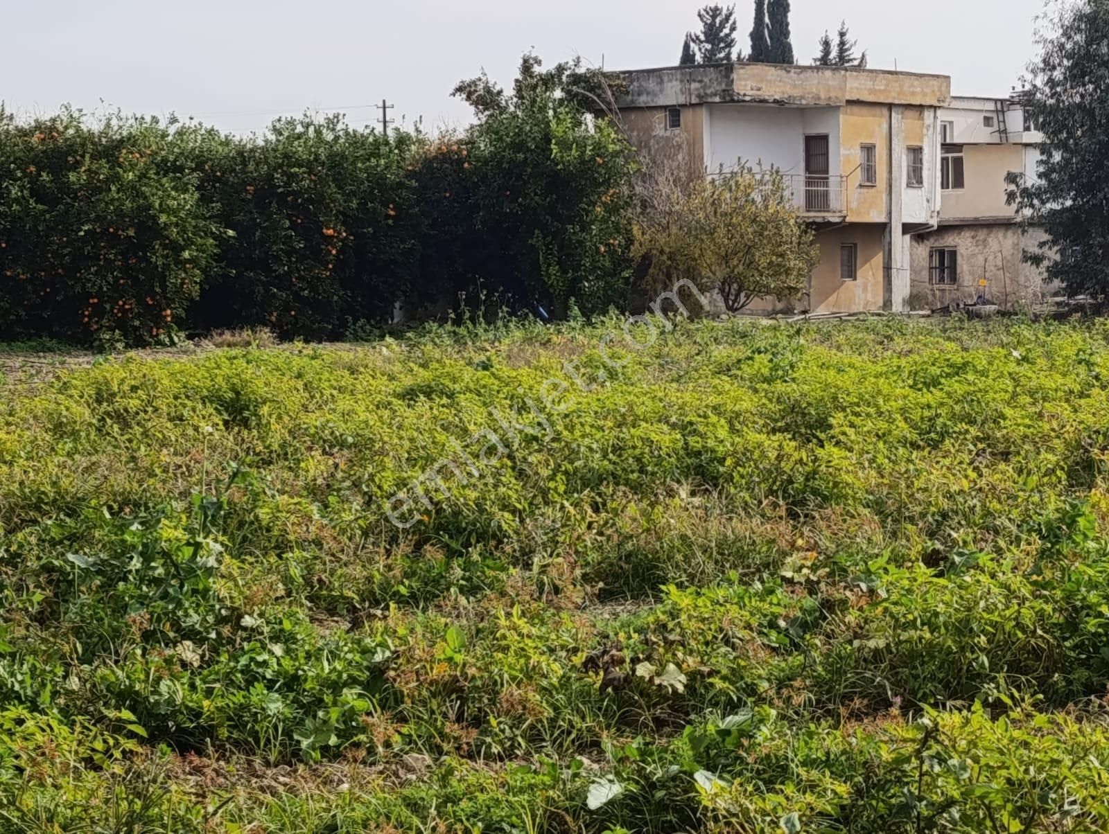 Yüreğir Seyhan Satılık Tarla Adana Yüreğir'de Yatırımlık Çok Cazip Arazi Fırsatı..