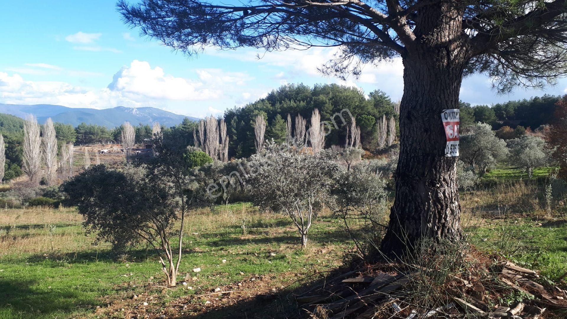 Buca Doğancılar'da Satılık Tarla - Görsel 7