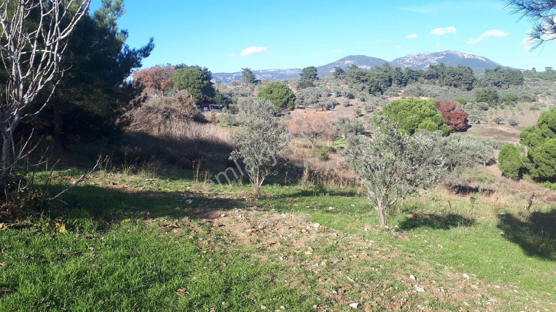 Buca Doğancılar'da Satılık Tarla - Görsel 14