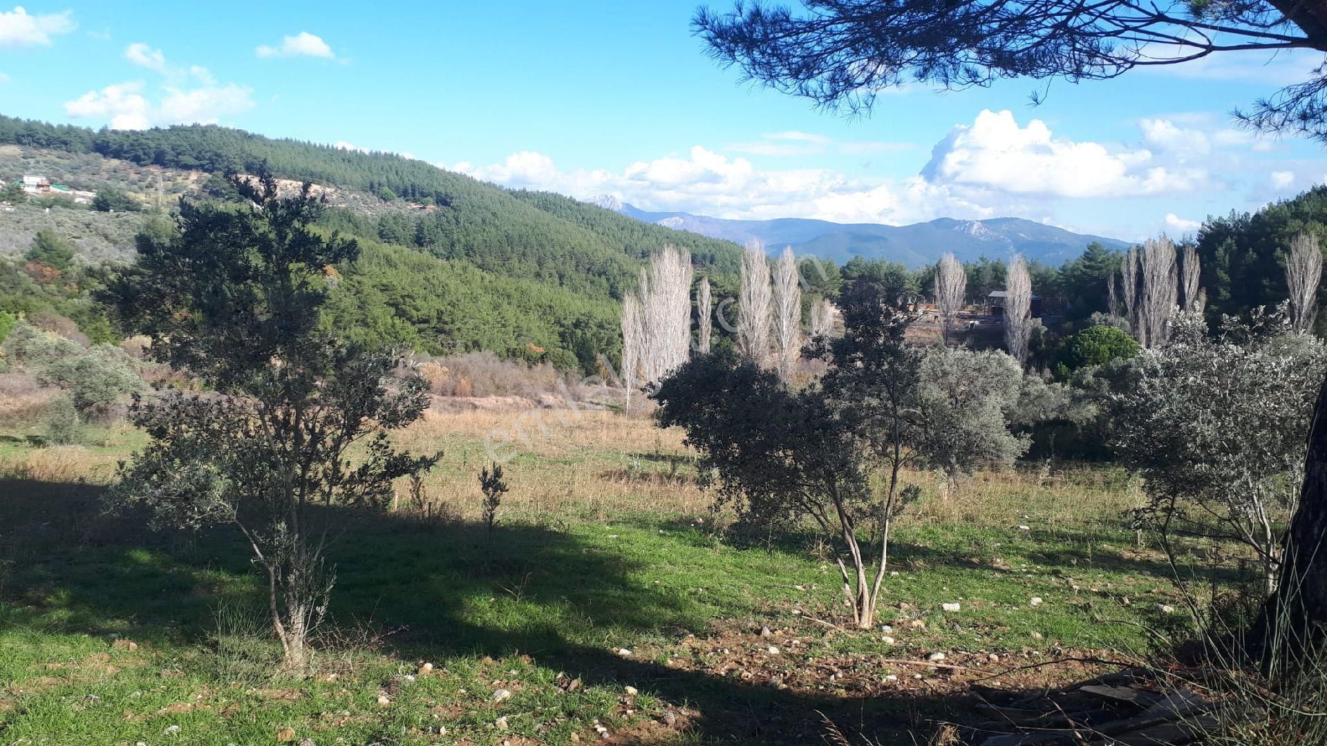 Buca Doğancılar'da Satılık Tarla - Görsel 10