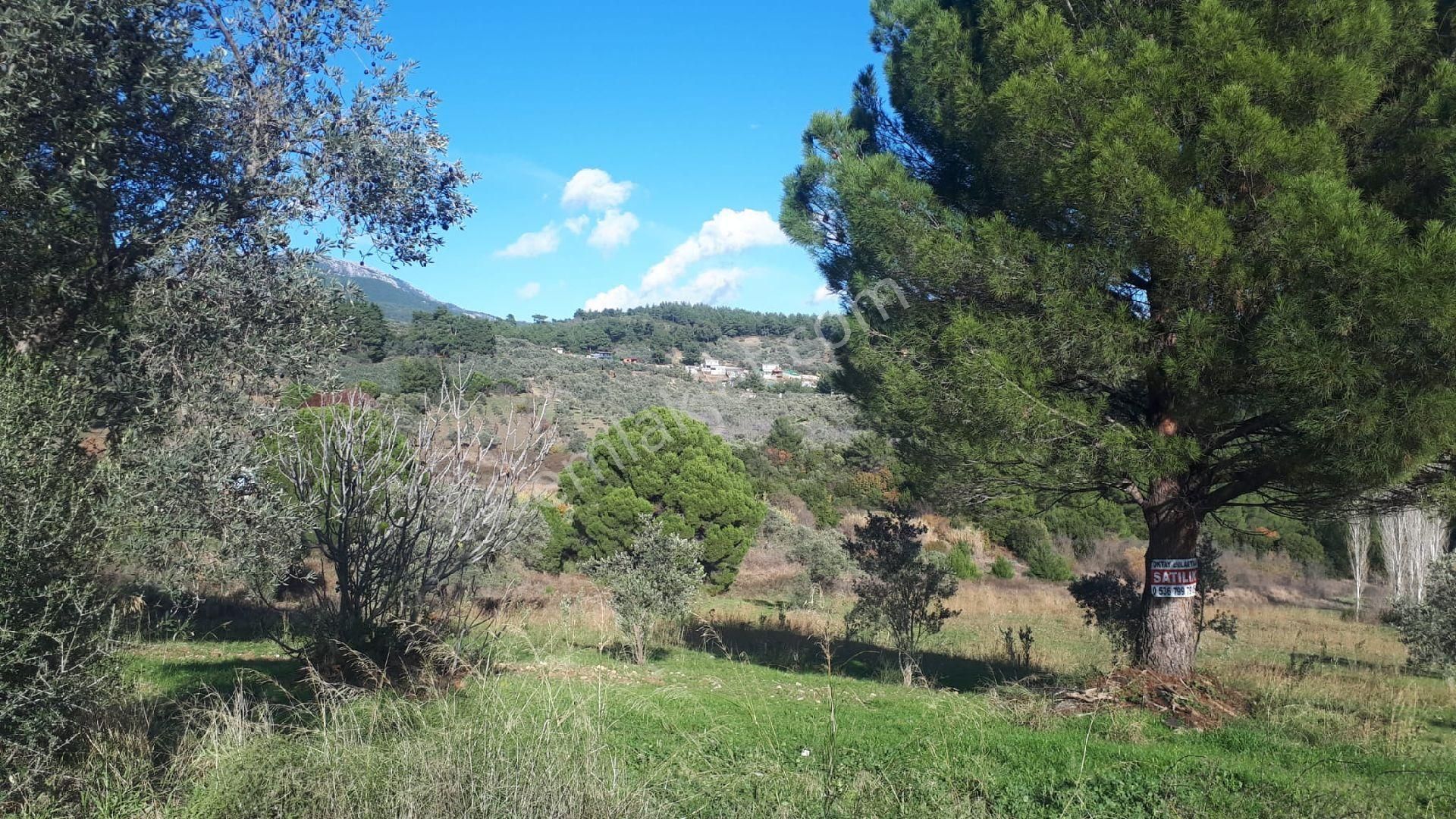 Buca Doğancılar'da Satılık Tarla - Görsel 17