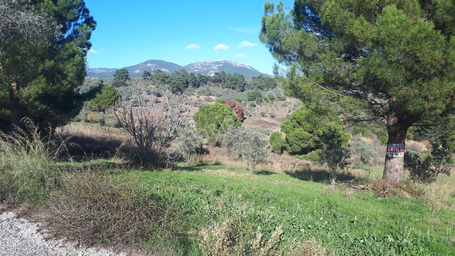 Buca Doğancılar'da Satılık Tarla - Görsel 2