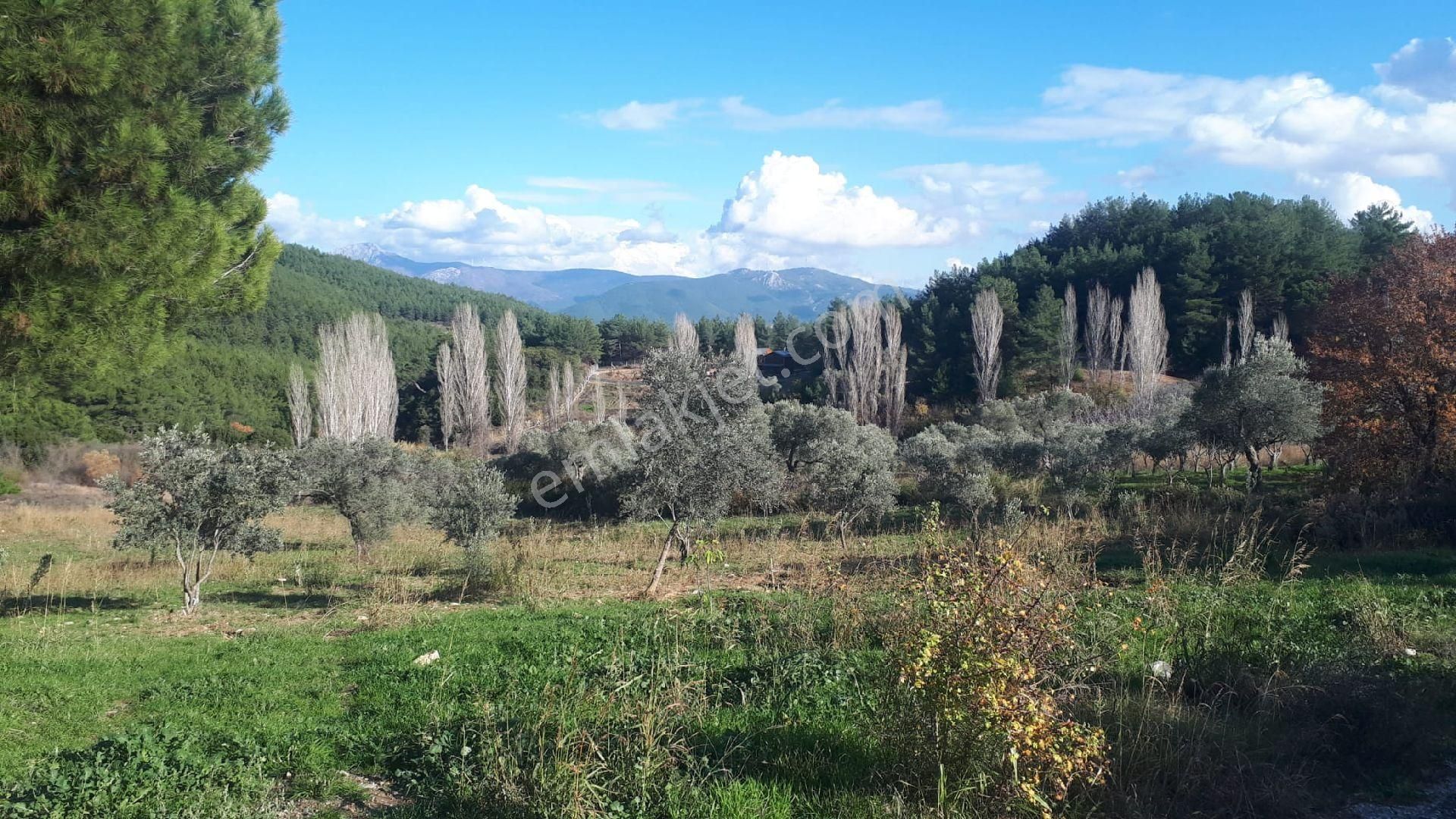 Buca Doğancılar'da Satılık Tarla - Görsel 4