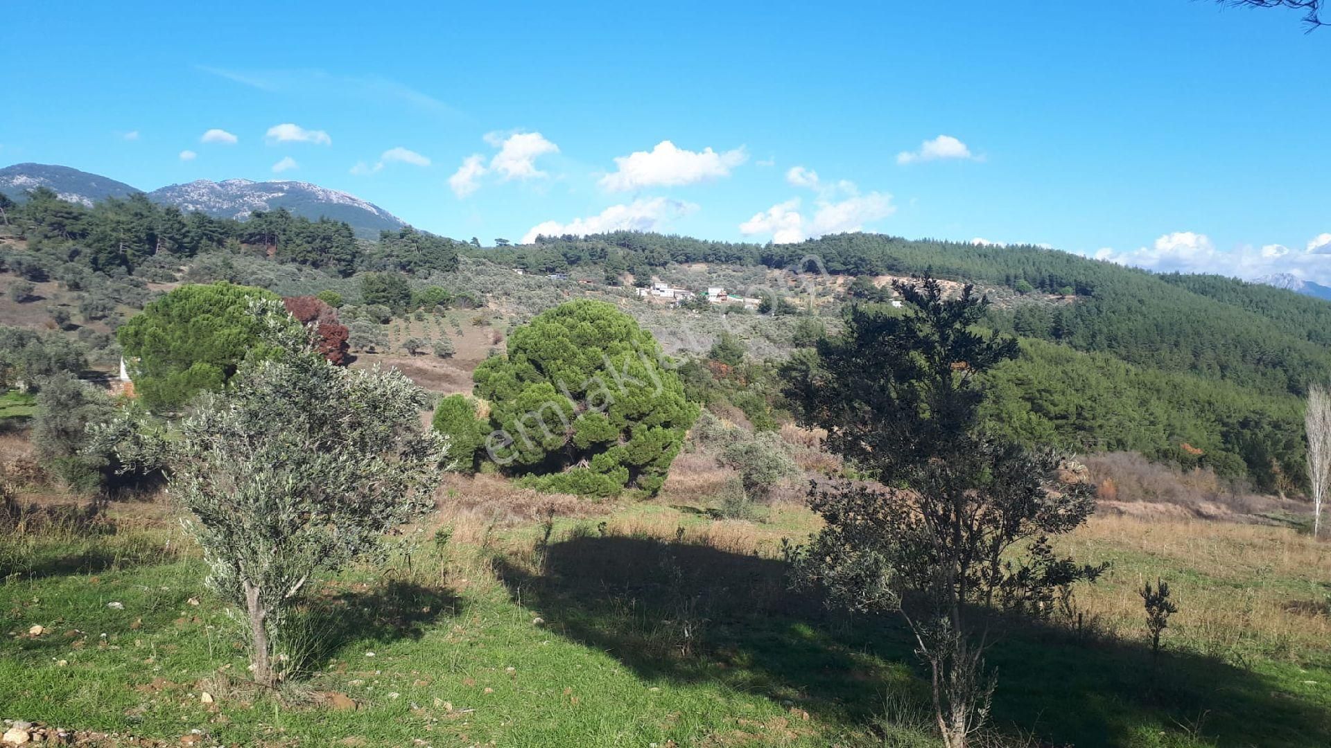 Buca Doğancılar'da Satılık Tarla - Görsel 6