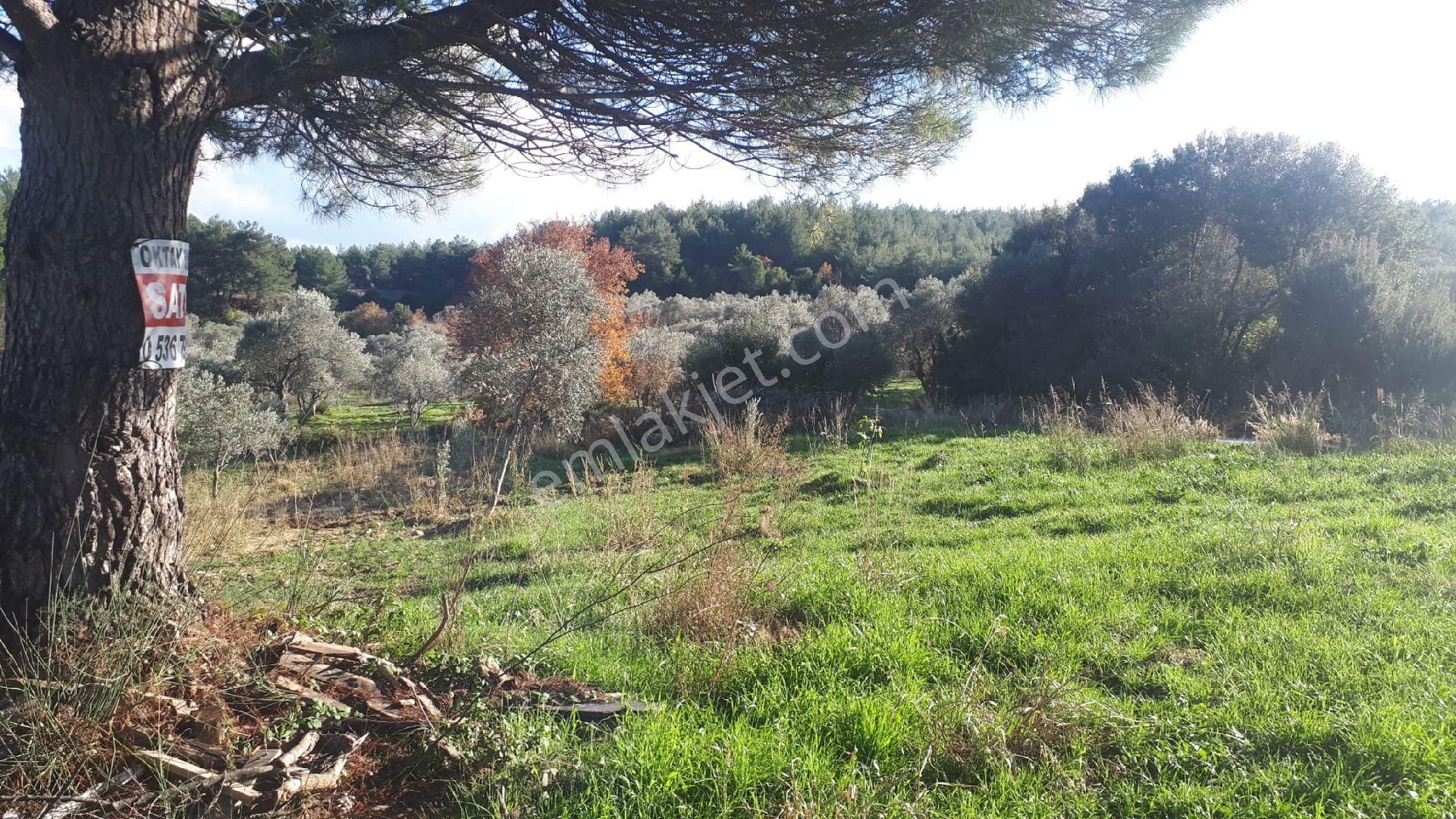 Buca Doğancılar'da Satılık Tarla - Görsel 8