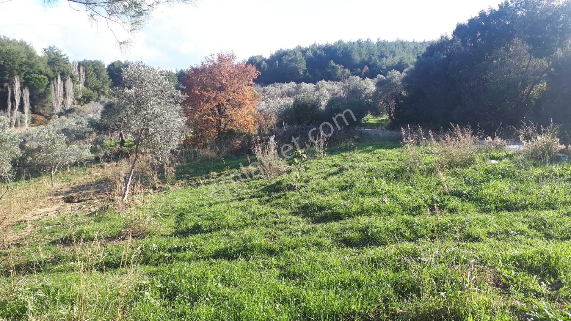 Buca Doğancılar'da Satılık Tarla - Görsel 13