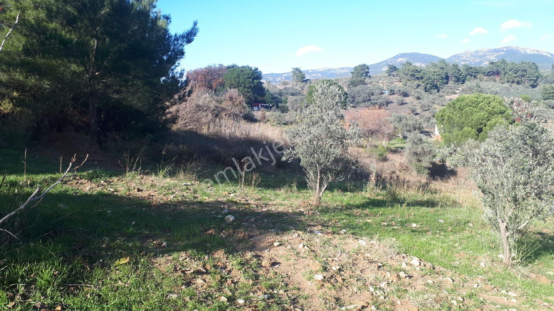 Buca Doğancılar'da Satılık Tarla - Görsel 9