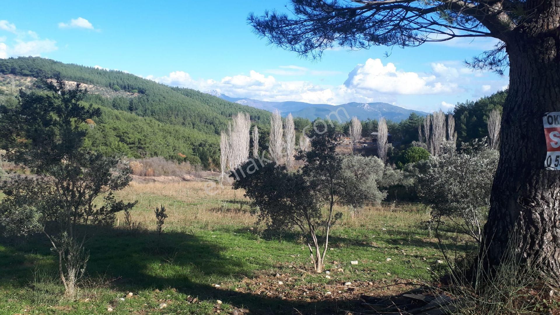 Buca Doğancılar'da Satılık Tarla - Görsel 11