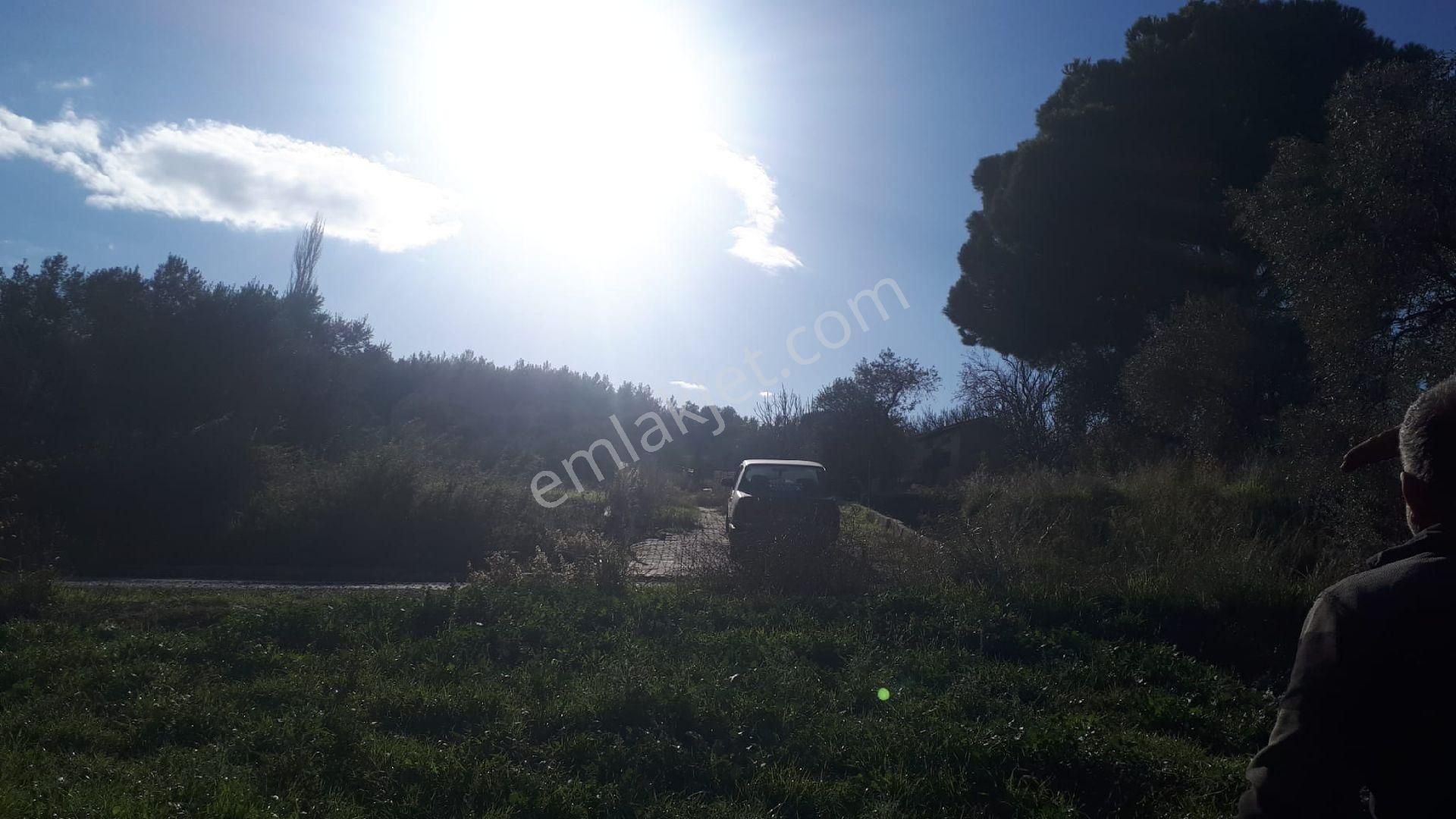 Buca Doğancılar'da Satılık Tarla - Görsel 5