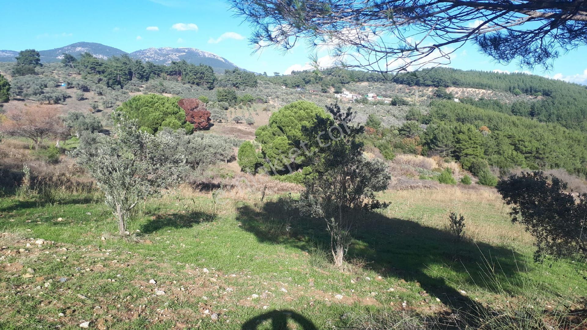 Buca Doğancılar'da Satılık Tarla - Görsel 16