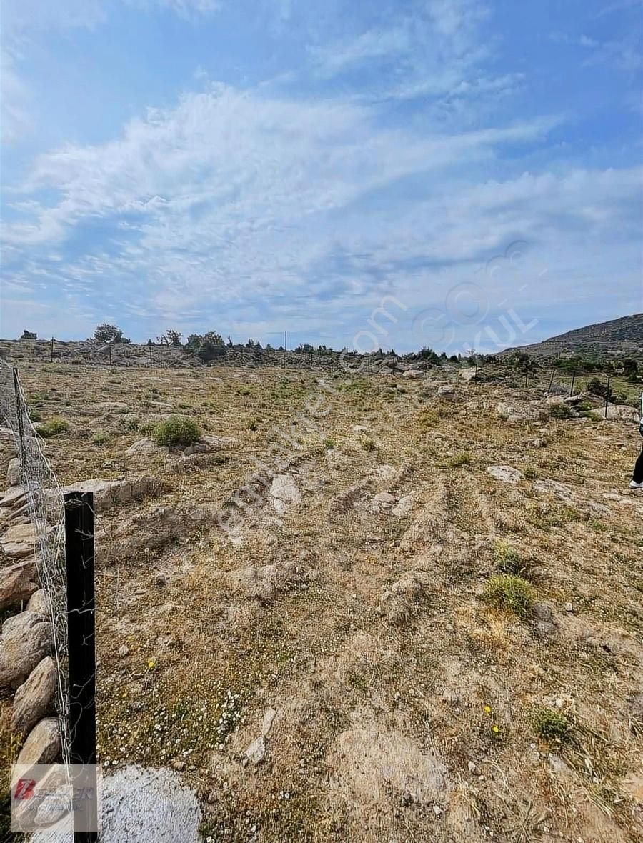 Yunusemre Yuntdağyenice Satılık Tarla Yol Kenarı Fırsat !!..tek Tapulu..!!