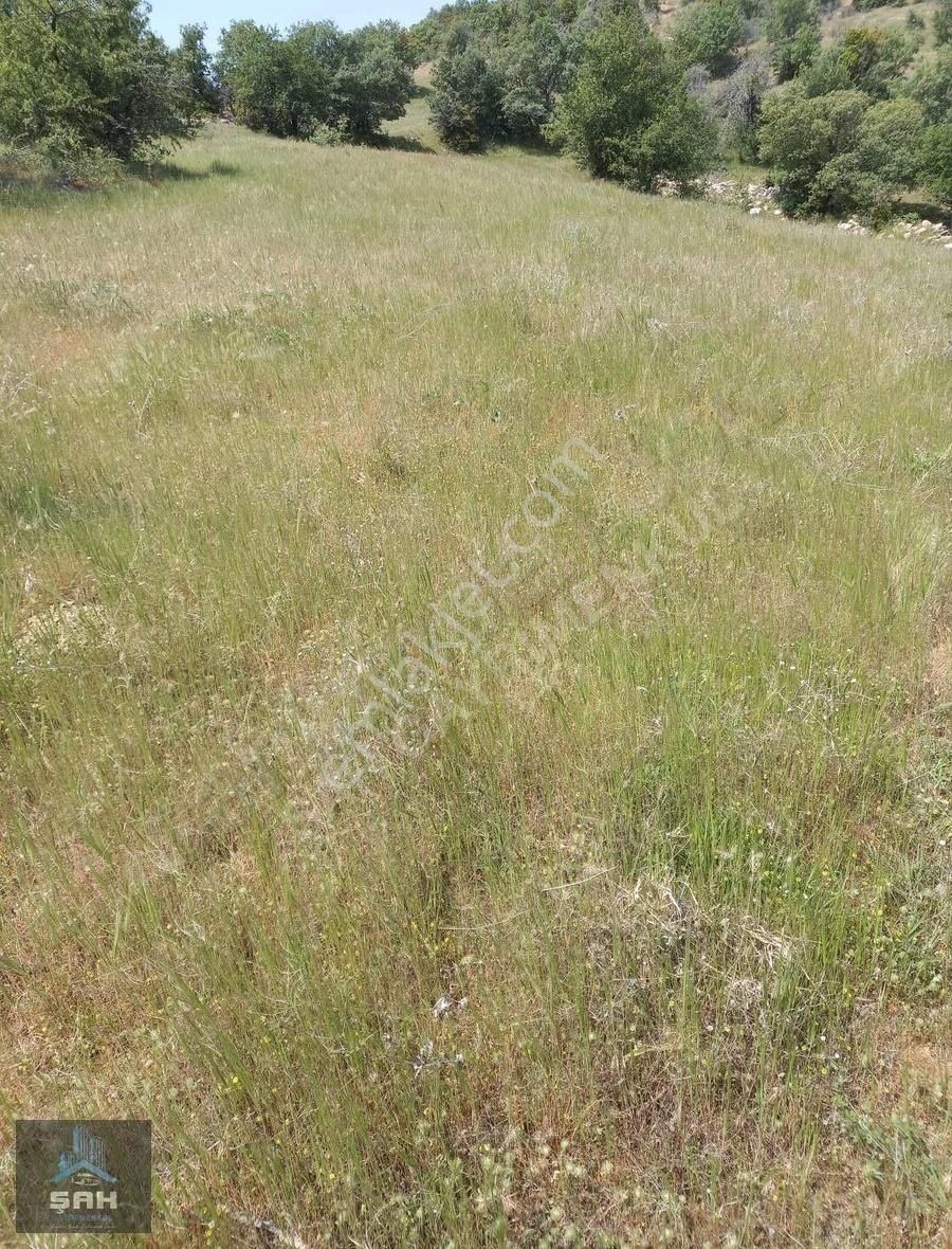 Kula Çarıkmahmutlu Satılık Tarla Manisa Kula Da İçinde 2 Adet Kargır Evi Bulunan Satılık Tarla