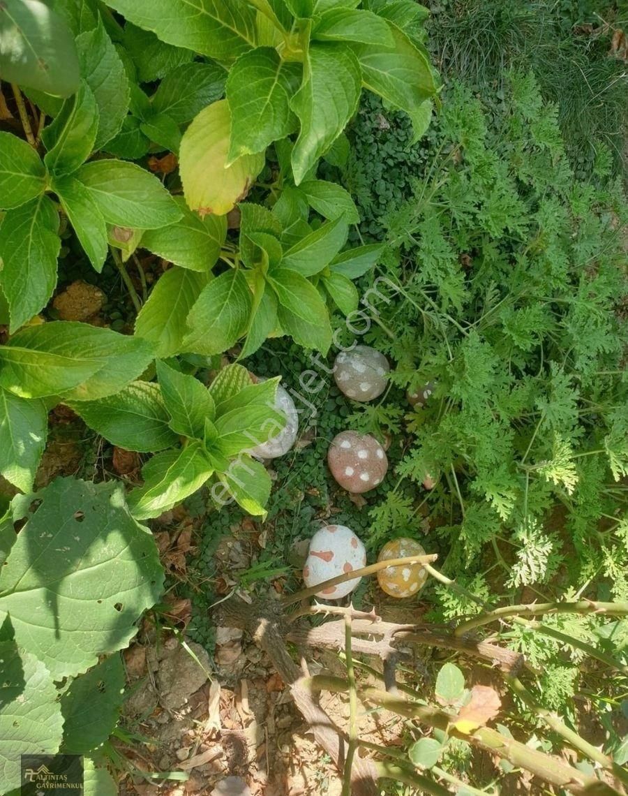 Şehitler Mahallesinde Mükemmel Müstakil Ev - Görsel 7