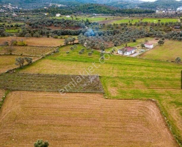 Milas Hasanlar Satılık Tarla Turizm Gelişim Bölgesi İçerisinde Satılık Arazi