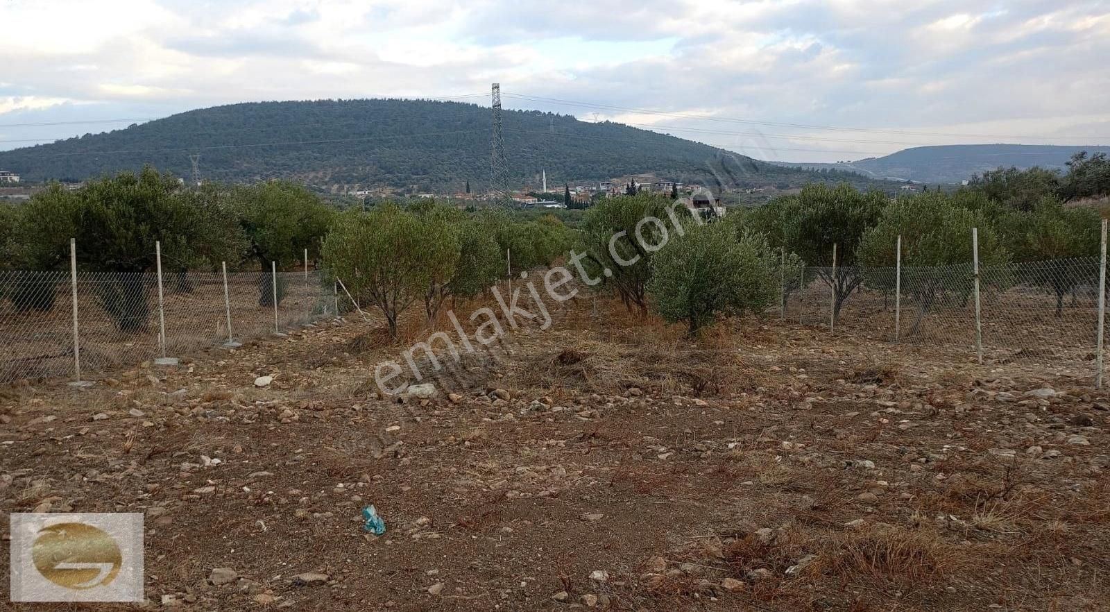 Foça Yeniköy Satılık Tarla Murat Aydoğmuş'tan Foça Yeniköyde Satılık Tarla