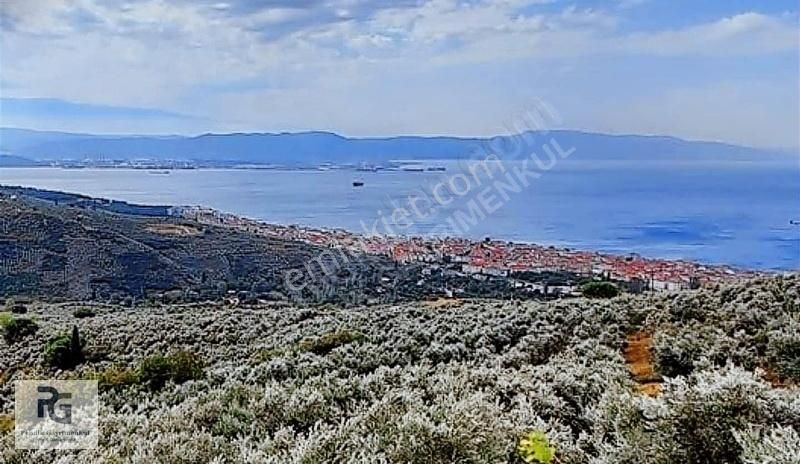 Gemlik Küçükkumla Satılık Tarla Fırsat Gemlik Kumlada Enfes Deniz Manzaralı Satılık Arsa 2573m2