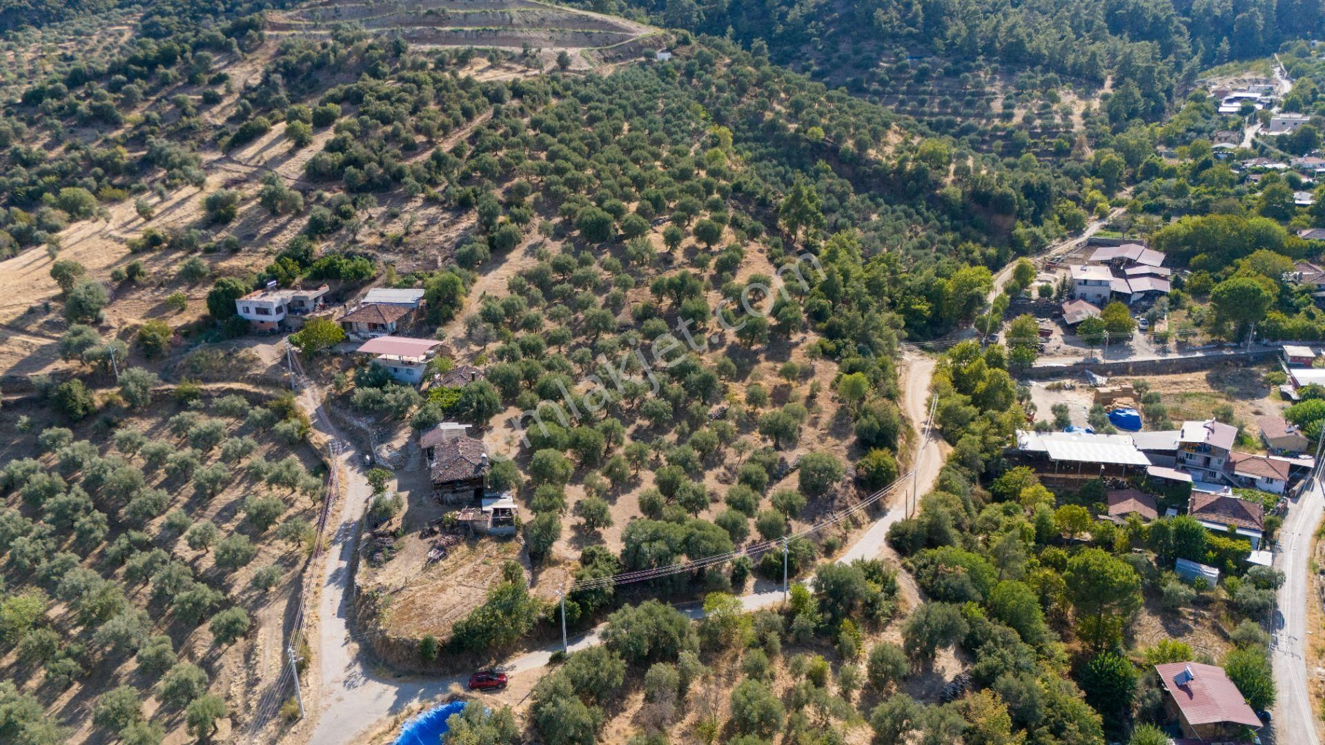 Karacasu Bahçeköy Satılık Zeytinlik Karacasu Bahçeköy Mah De Merkezde Satılık Zeytinlik