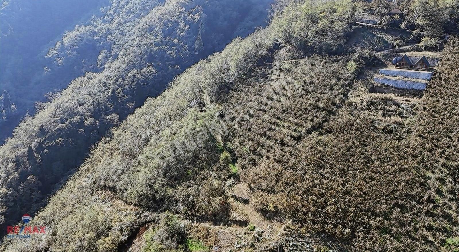 Ortahisar Doğançay Satılık Tarla Doğançay 'da Yolu Açılmış 2 Ayrı Tapu 2560 M2 Arazi