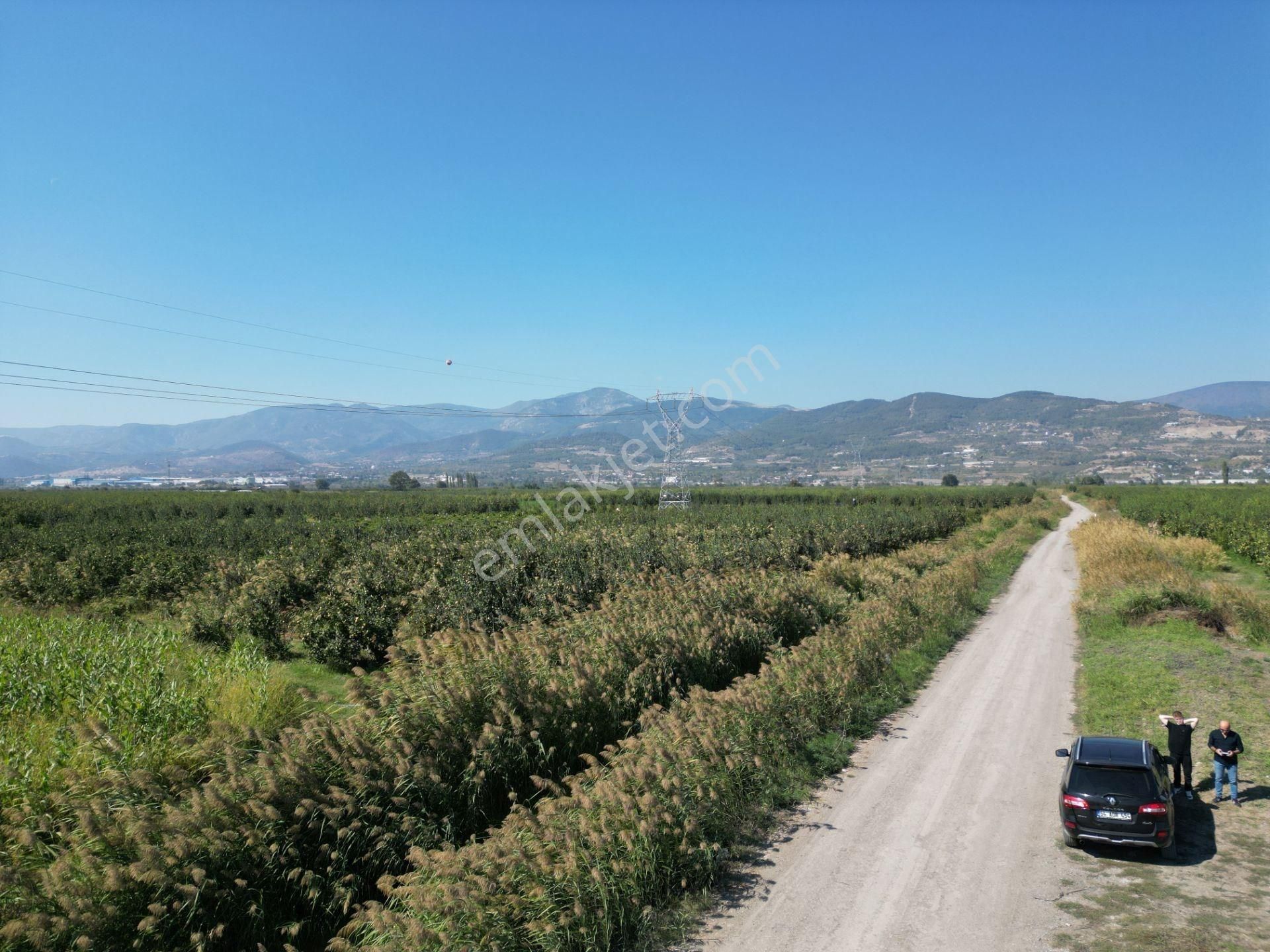 Geyve Alifuatpaşa Satılık Konut İmarlı Sakarya Geyve Düzakçaşehir Mah 10089,05m2 Satılık İmarlı Arsa