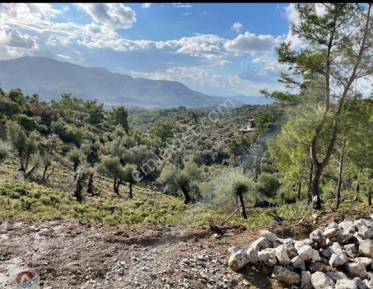 Eski Orhanlı Köyü Asfalt Ustü - Görsel 7