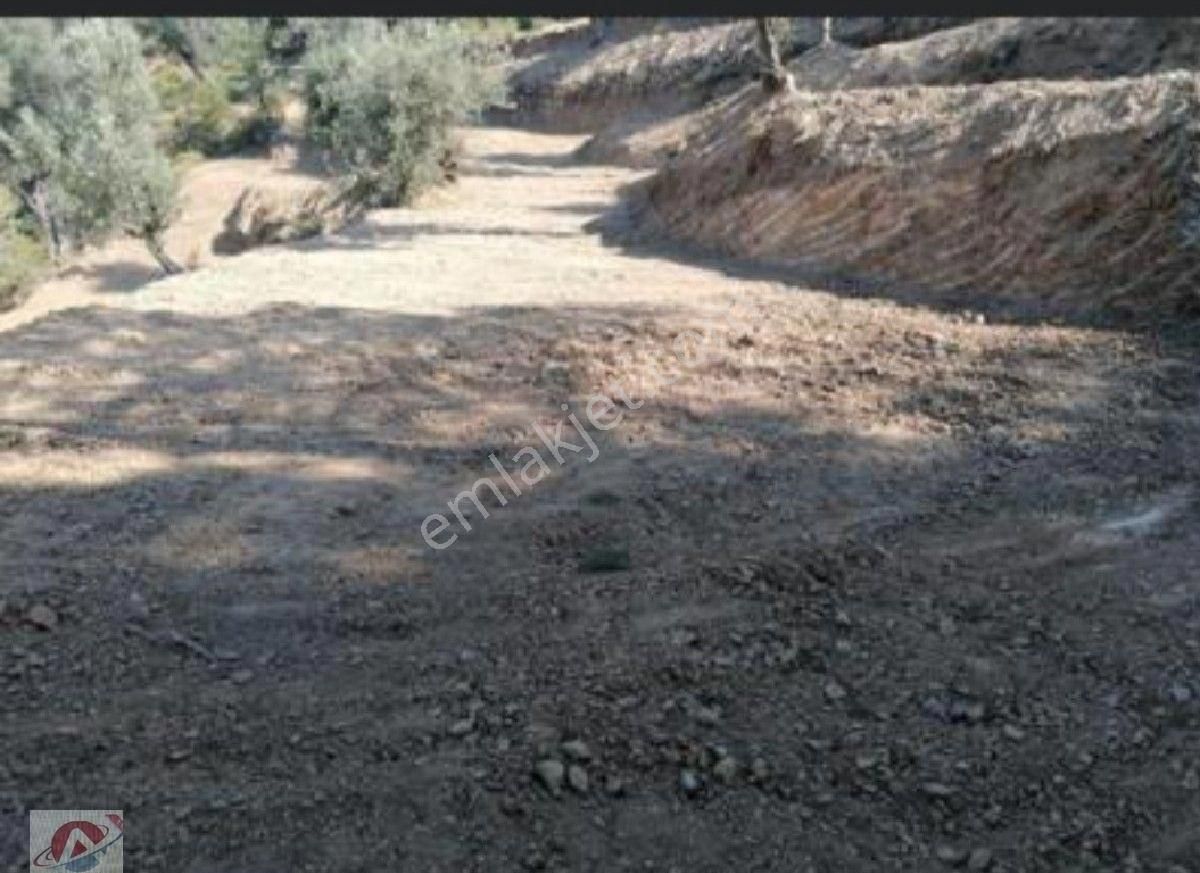 Eski Orhanlı Köyü Asfalt Ustü - Görsel 6