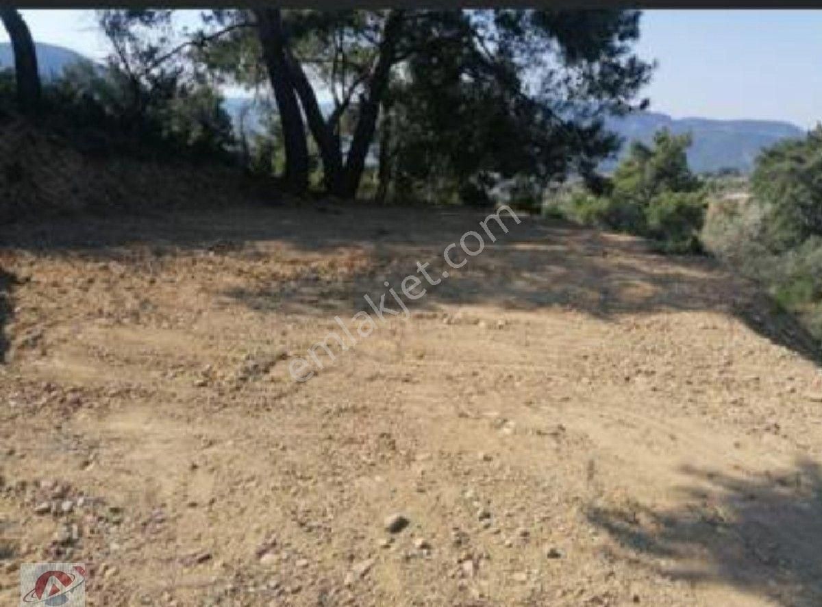 Eski Orhanlı Köyü Asfalt Ustü - Görsel 11