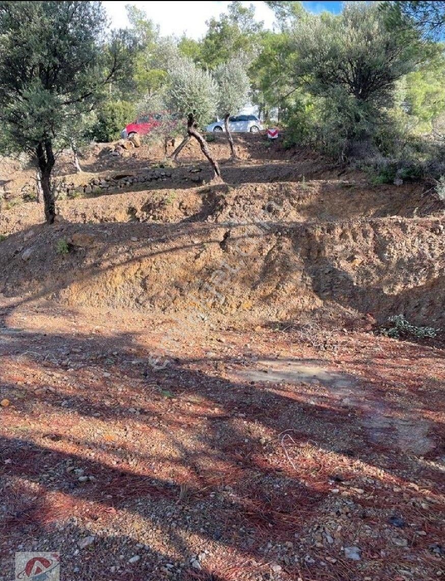 Eski Orhanlı Köyü Asfalt Ustü - Görsel 13