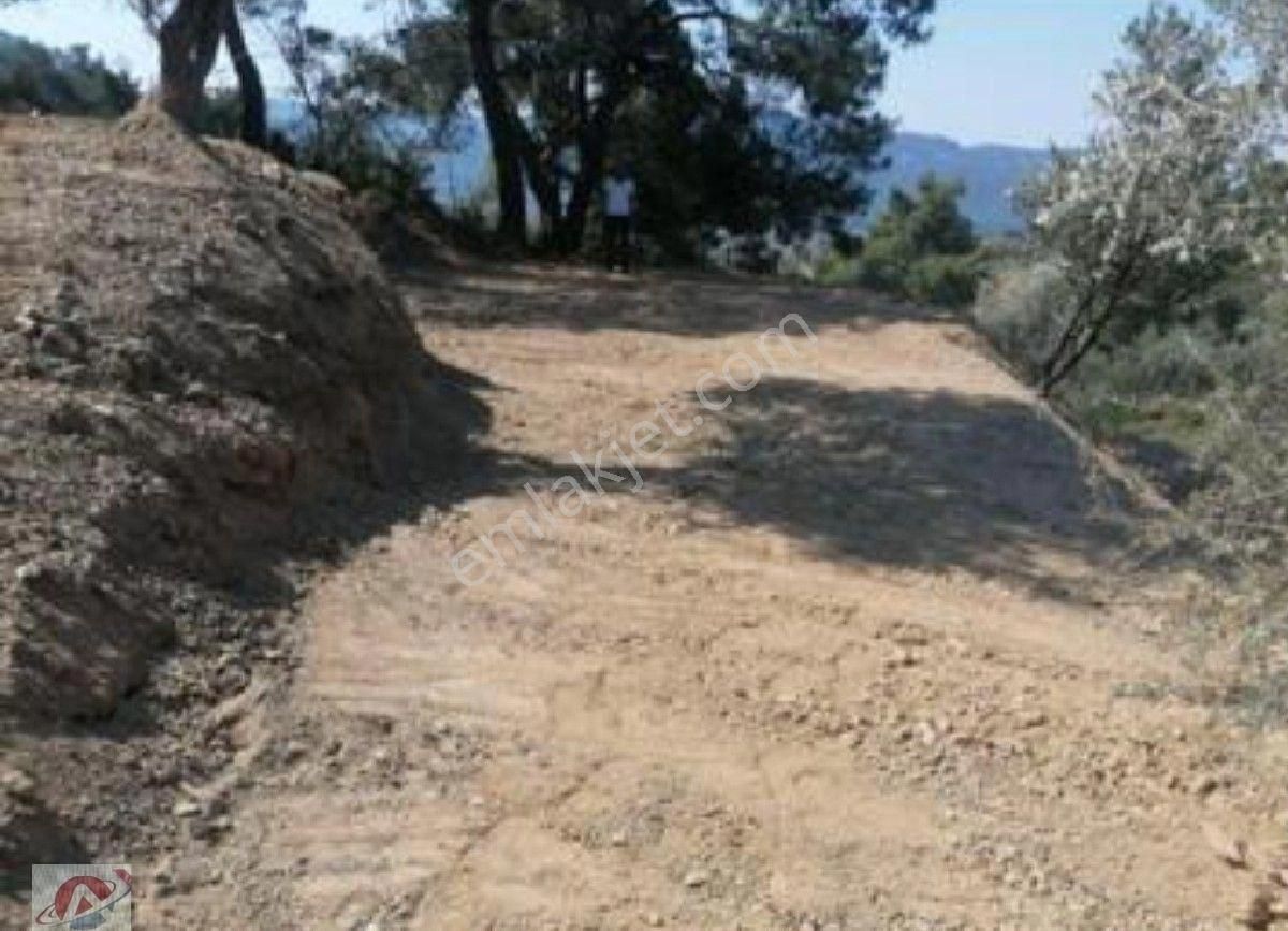 Eski Orhanlı Köyü Asfalt Ustü - Görsel 4