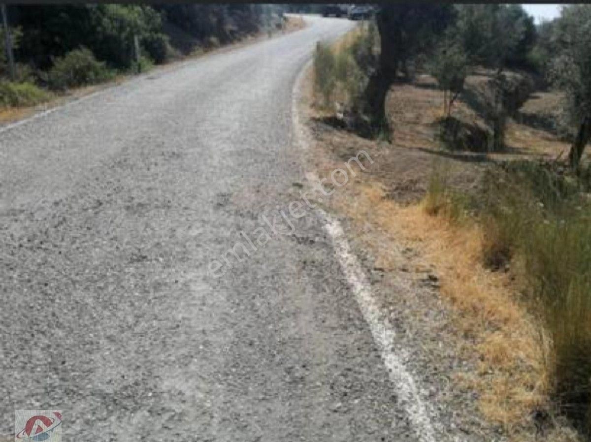Eski Orhanlı Köyü Asfalt Ustü - Görsel 12