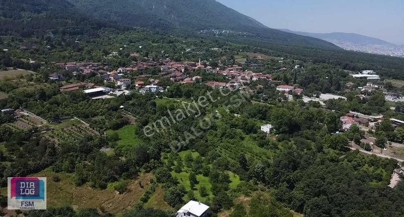 Yıldırım Cumalıkızık Satılık Bağ & Bahçe Dialog Fsm'den Cumalıkızık Köyünde Satılık Kiraz Bahçesi