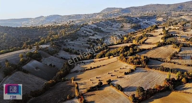 Mustafakemalpaşa Kapaklıoluk Satılık Tarla M.k.paşa Kapaklıoluk Mah/ 14.700 M2 Satılık Dut Bahçesi