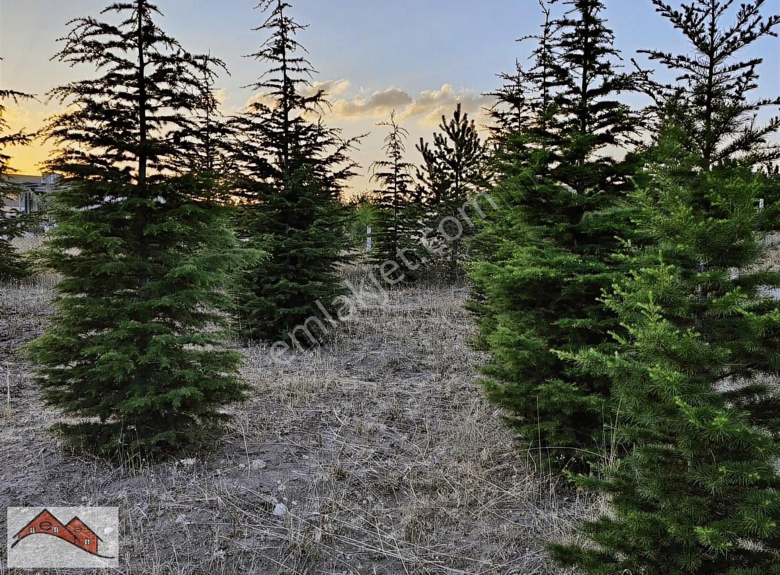 Satılık Mustakıl Ev Oyaca Gölbaşi Ankara - Görsel 31